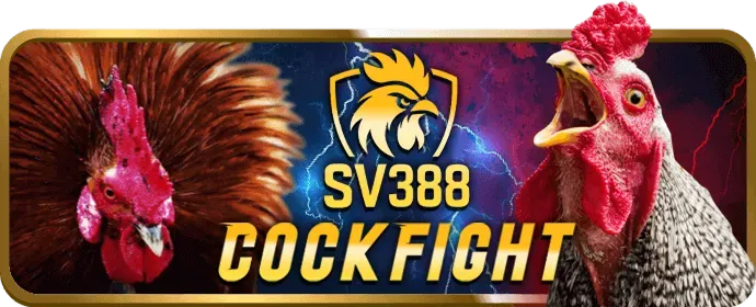 Chương trình VIP đá gà C168
