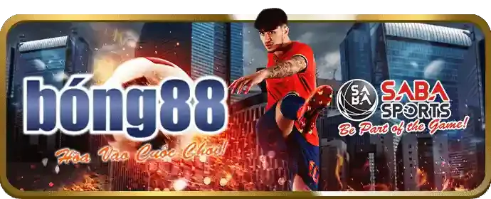 Thương hiệu c168 uy tín và đáng tin cậy